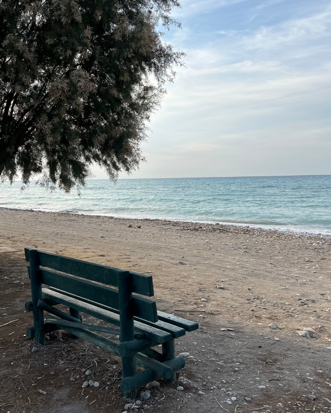 bank am strand mit blick auf Meer und einem baum Nebendran in griechenland